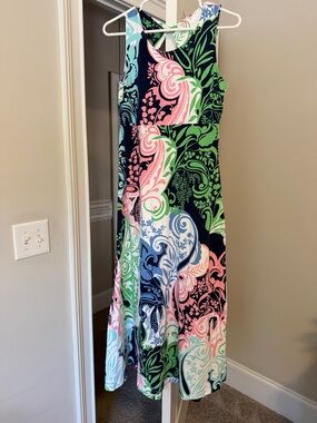 Talbots Mp NWOT Pink, navy, and green maxi dress, empire waist,